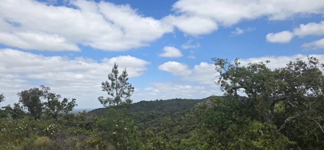 Moradia T1 para Venda em Grândola e Santa Margarida da Serra Foto 24