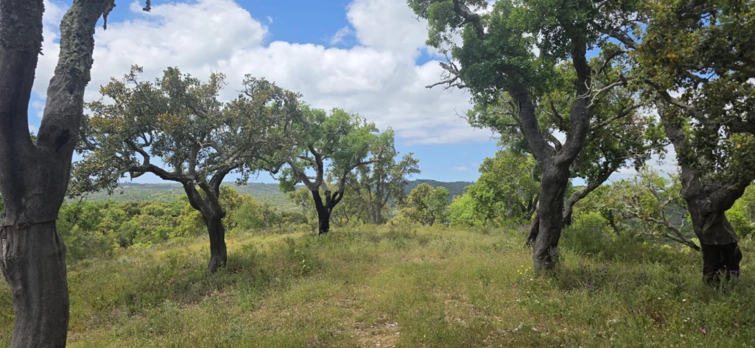 Moradia T1 para Venda em Grândola e Santa Margarida da Serra Foto 28