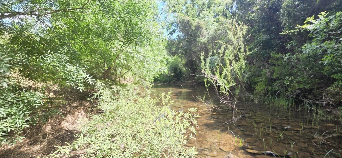 Moradia T1 para Venda em Grândola e Santa Margarida da Serra Foto 39
