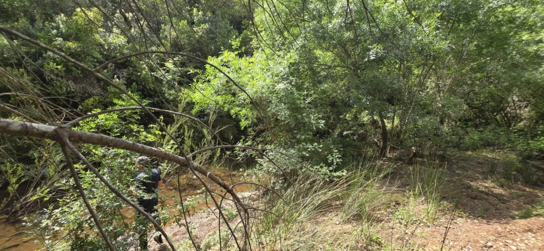 Moradia T1 para Venda em Grândola e Santa Margarida da Serra Foto 5