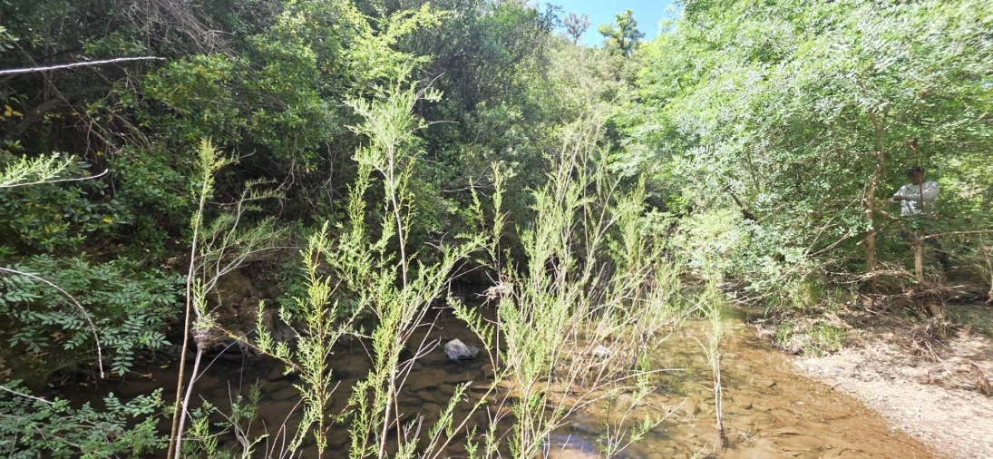Moradia T1 para Venda em Grândola e Santa Margarida da Serra Foto 8