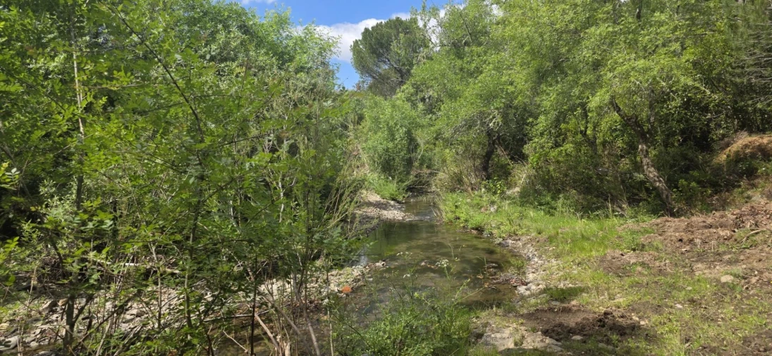 Moradia T1 para Venda em Grândola e Santa Margarida da Serra Foto 9