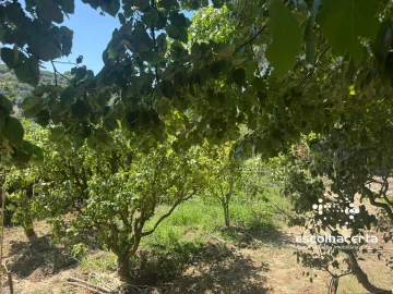 Moradia T5 para Venda em Quinta do Anjo