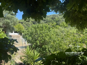 Moradia T5 para Venda em Quinta do Anjo