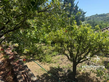 Moradia T5 para Venda em Quinta do Anjo