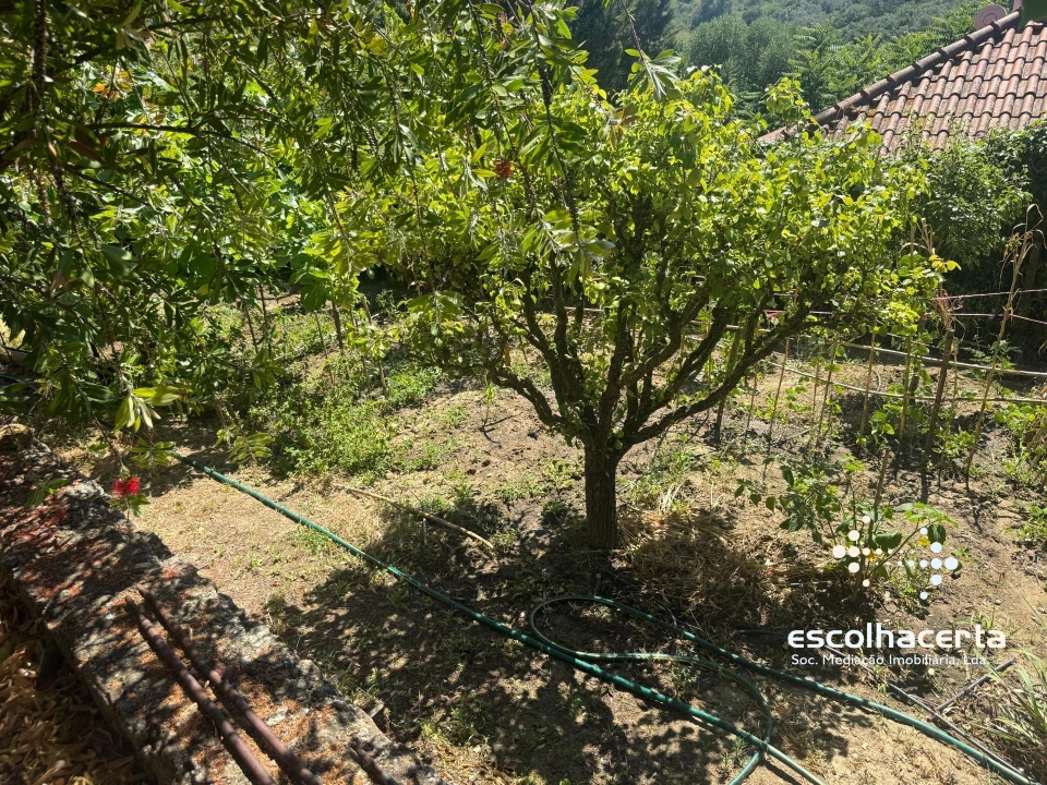 Moradia T5 para Venda em Quinta do Anjo Foto 46