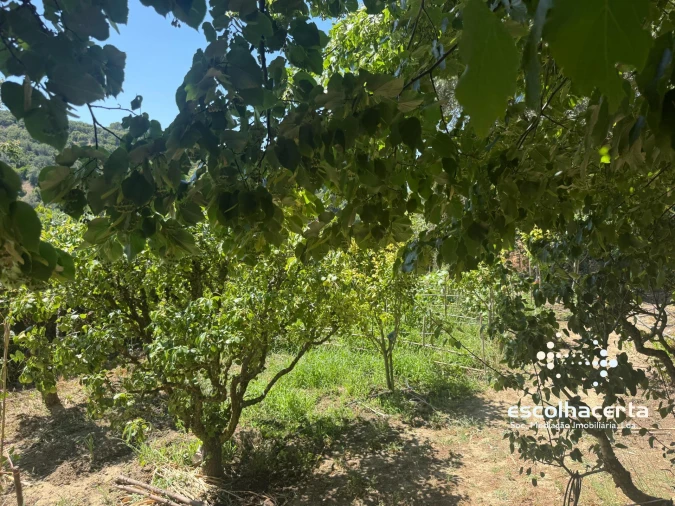 Moradia T5 para Venda em Quinta do Anjo Foto 38
