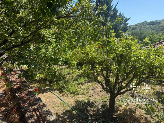 Moradia T5 para Venda em Quinta do Anjo Foto 45