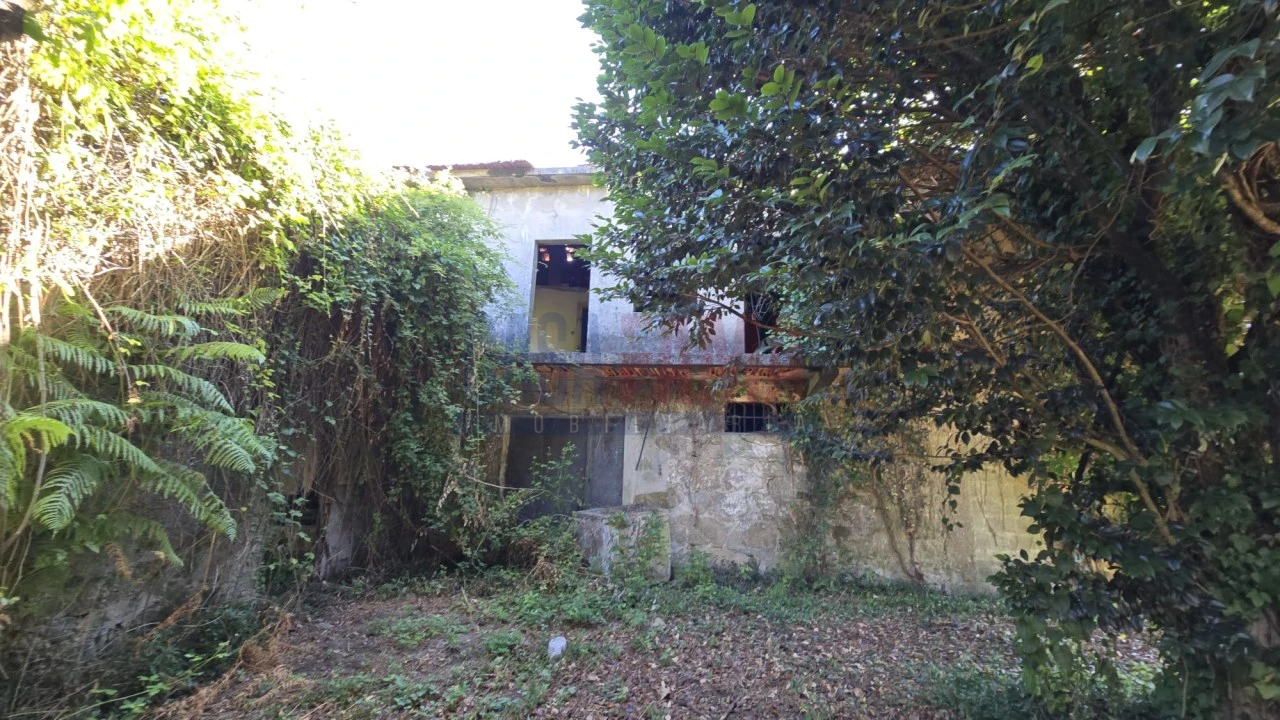 Quinta para Venda em Landim Foto 4