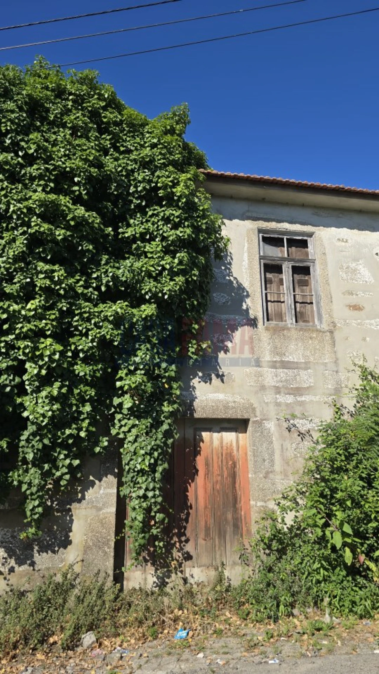 Quinta para Venda em Landim Foto 8