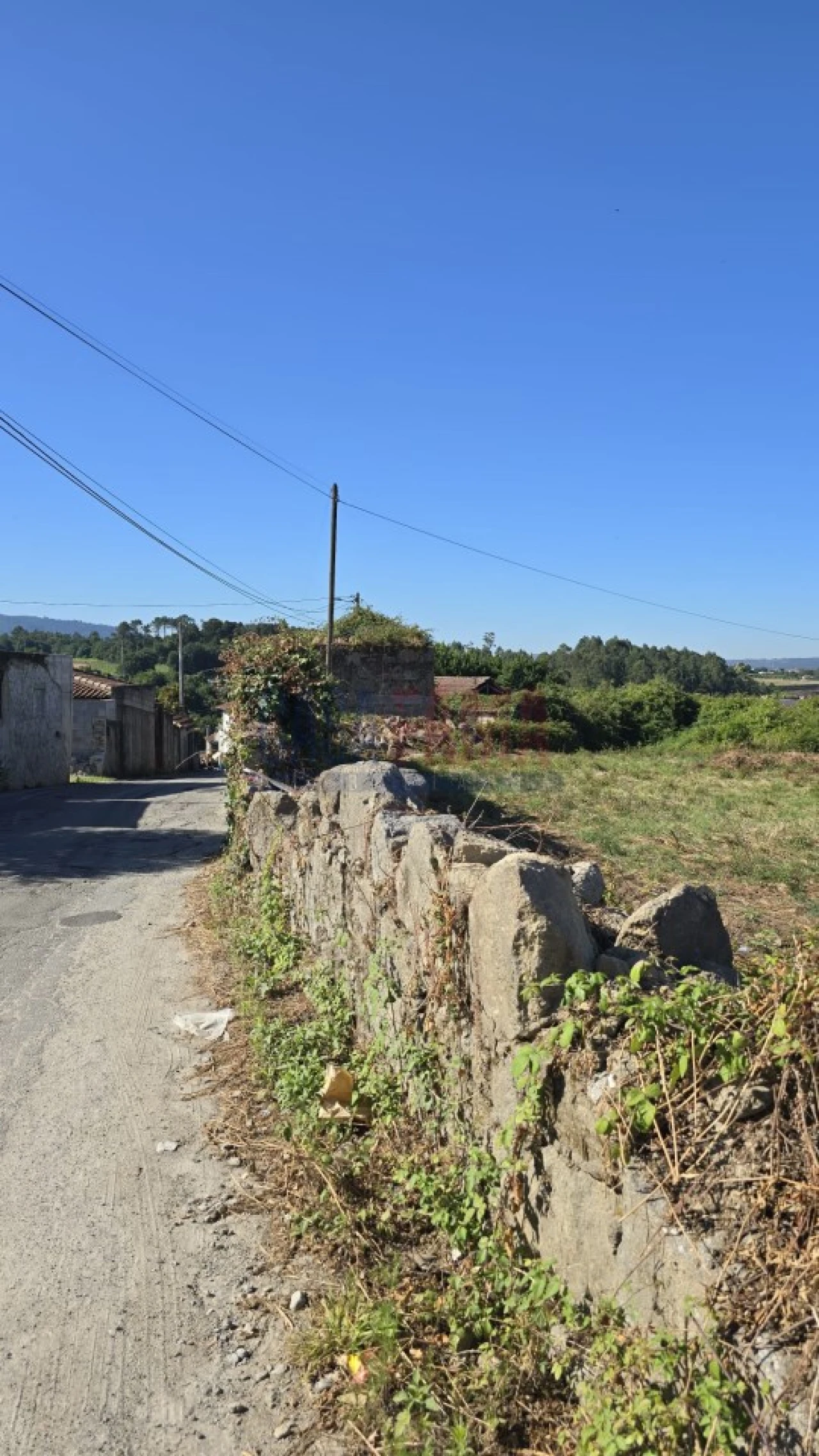 Quinta para Venda em Landim Foto 14