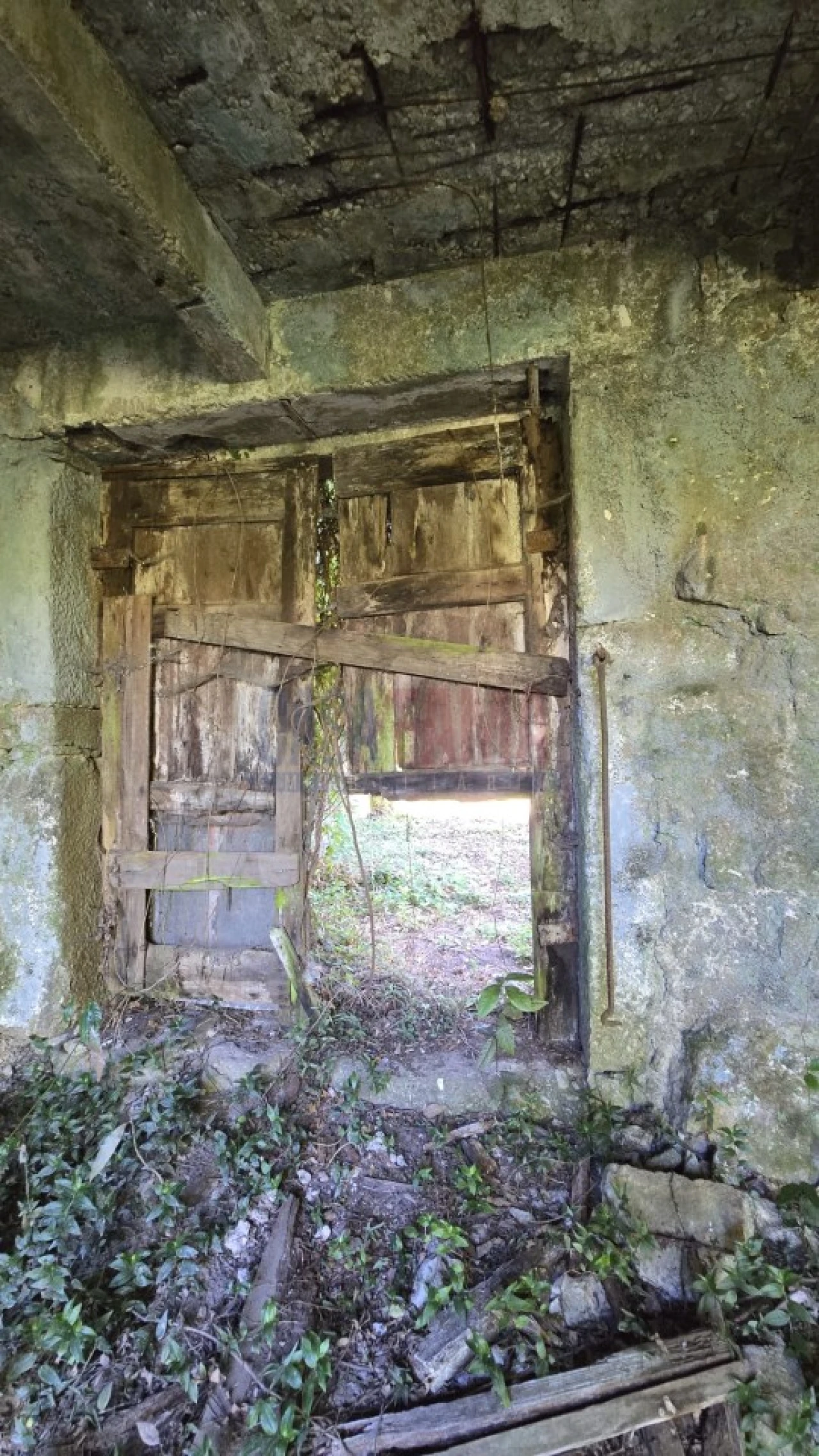 Quinta para Venda em Landim Foto 15