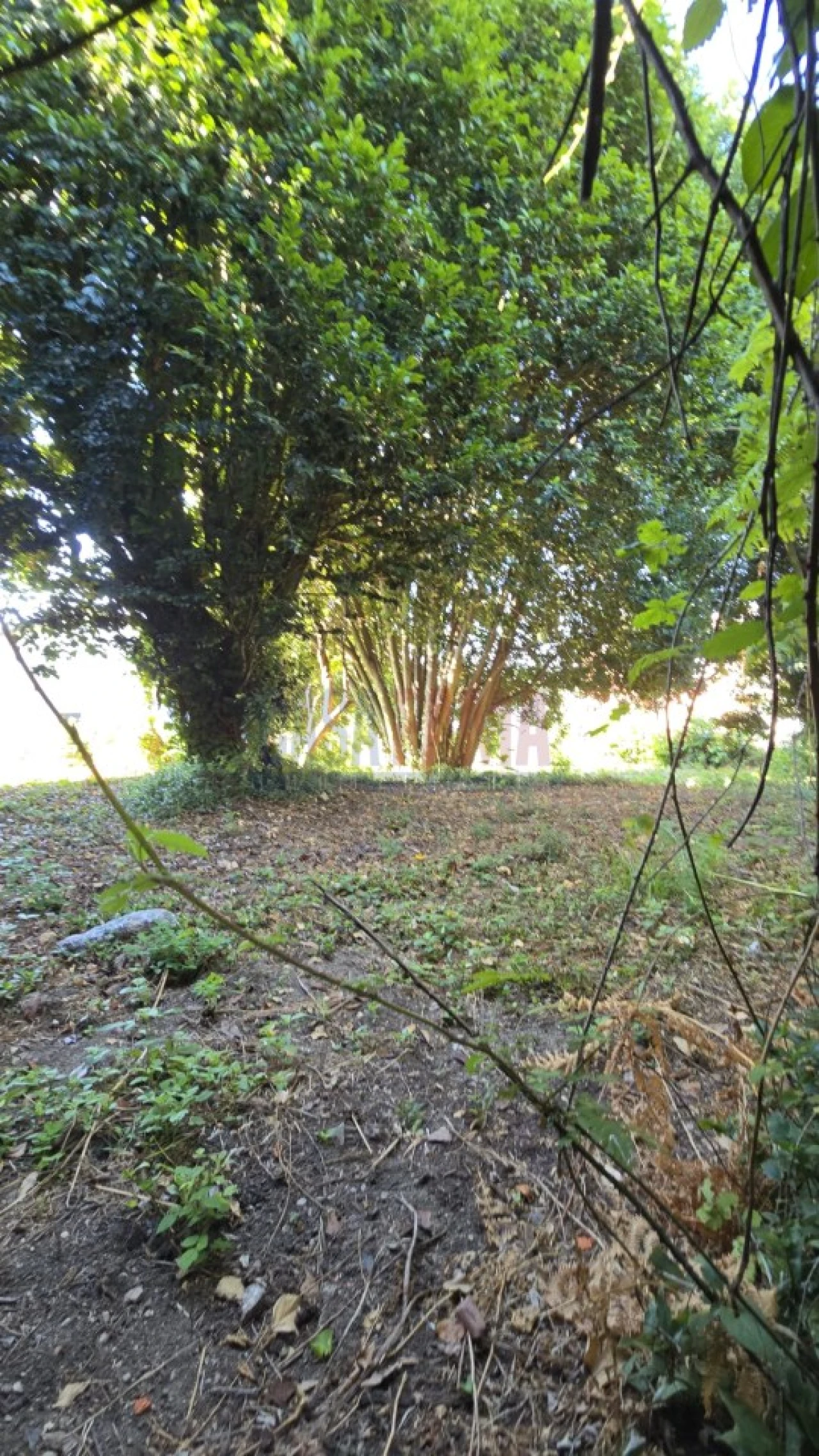 Quinta para Venda em Landim Foto 16