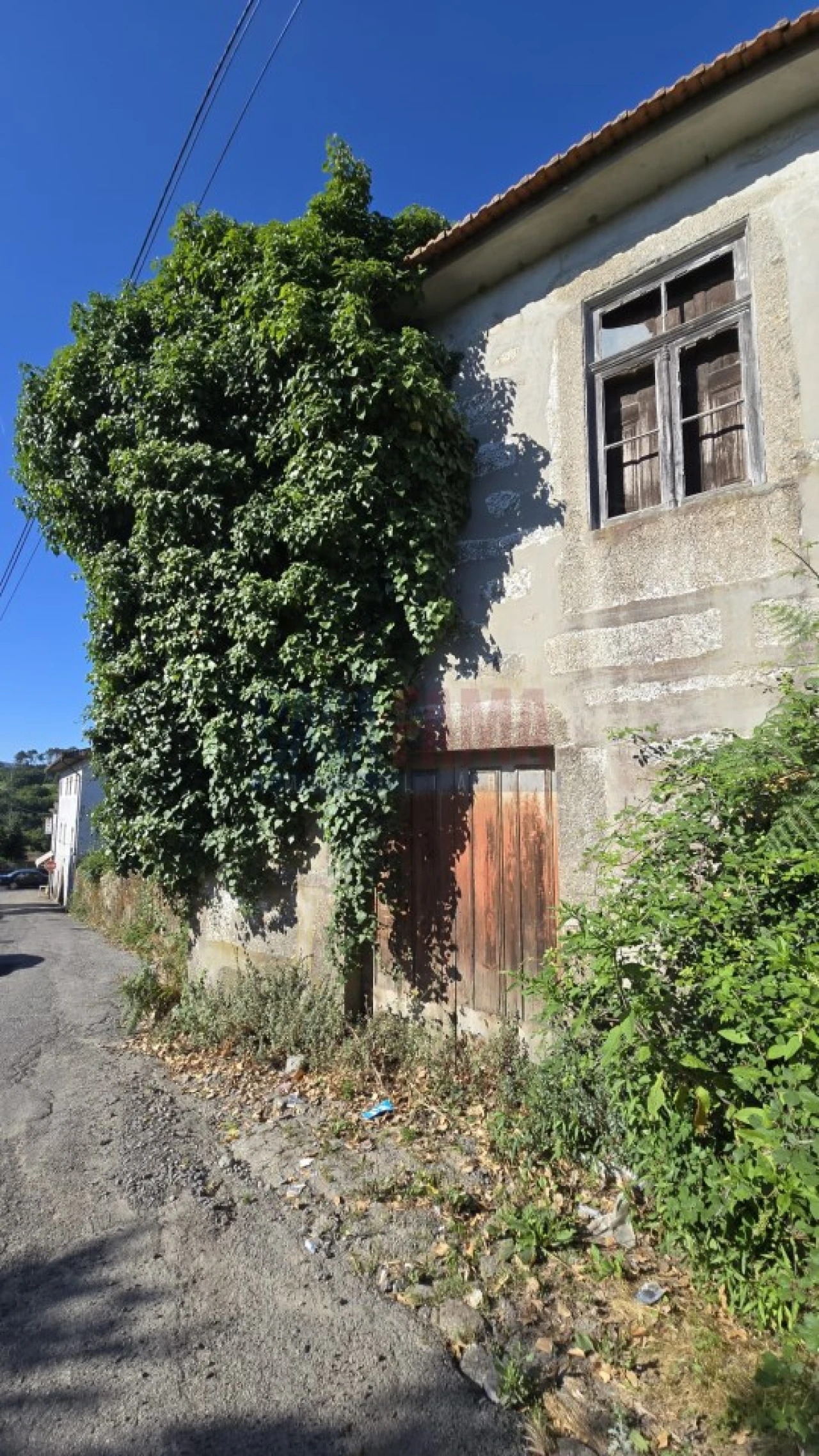 Quinta para Venda em Landim Foto 21