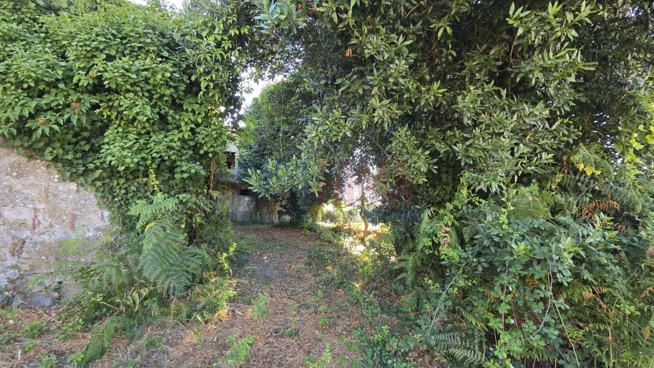 Quinta para Venda em Landim Foto 28
