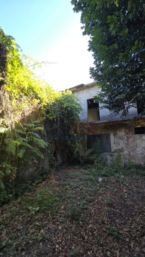 Quinta para Venda em Landim