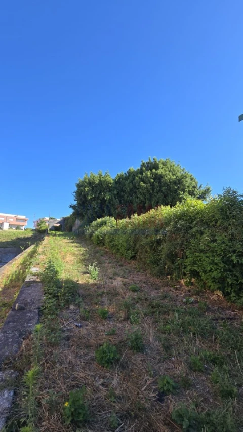 Quinta para Venda em Landim