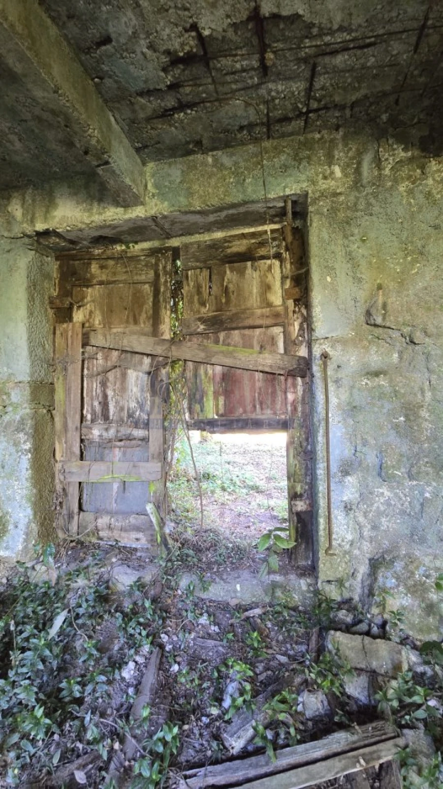 Quinta para Venda em Landim Foto 15