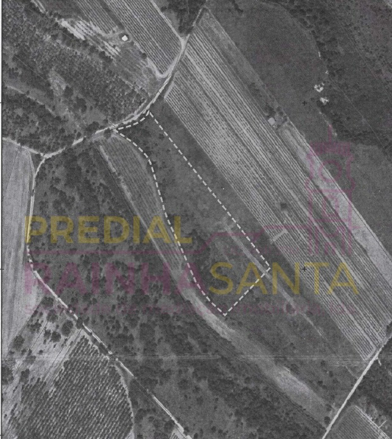 Terreno Agricola ou Rústico para Venda em Alpiarça Foto 4