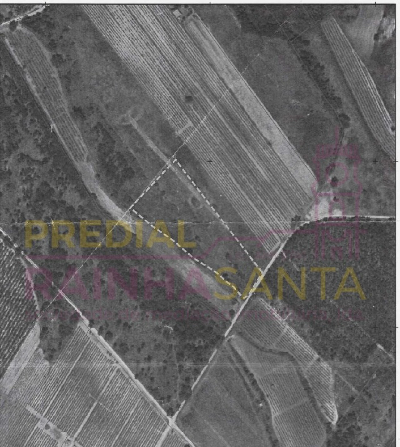Terreno Agricola ou Rústico para Venda em Alpiarça Foto 5