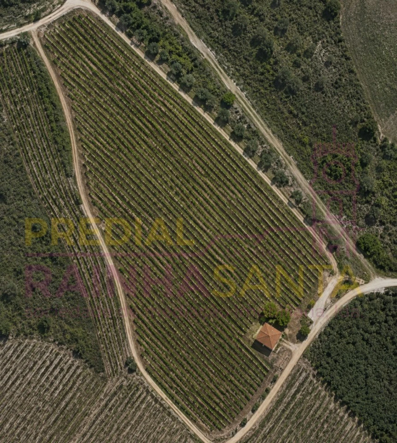 Terreno Agricola ou Rústico para Venda em Alpiarça Foto 2