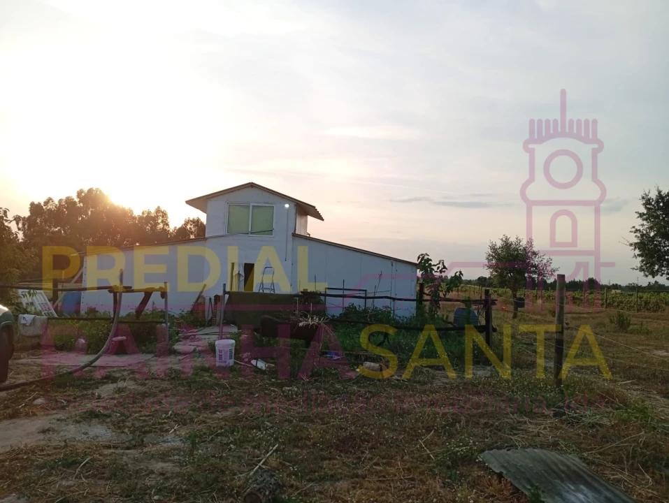 Terreno Agricola ou Rústico para Venda em Alpiarça Foto 1