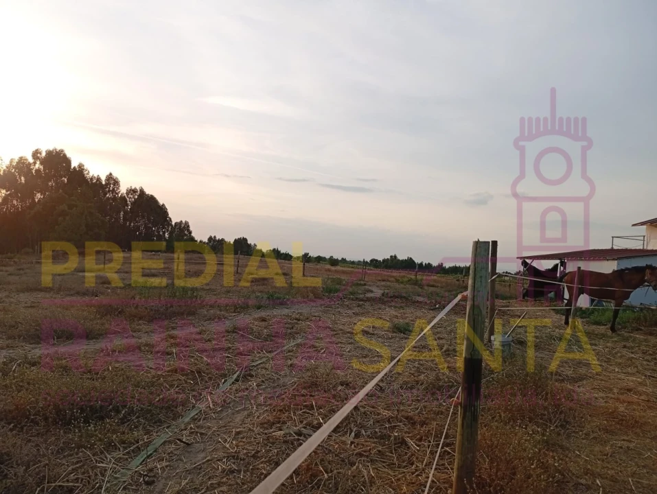 Terreno Agricola ou Rústico para Venda em Alpiarça Foto 7