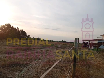 Terreno Agricola ou Rústico para Venda em Alpiarça