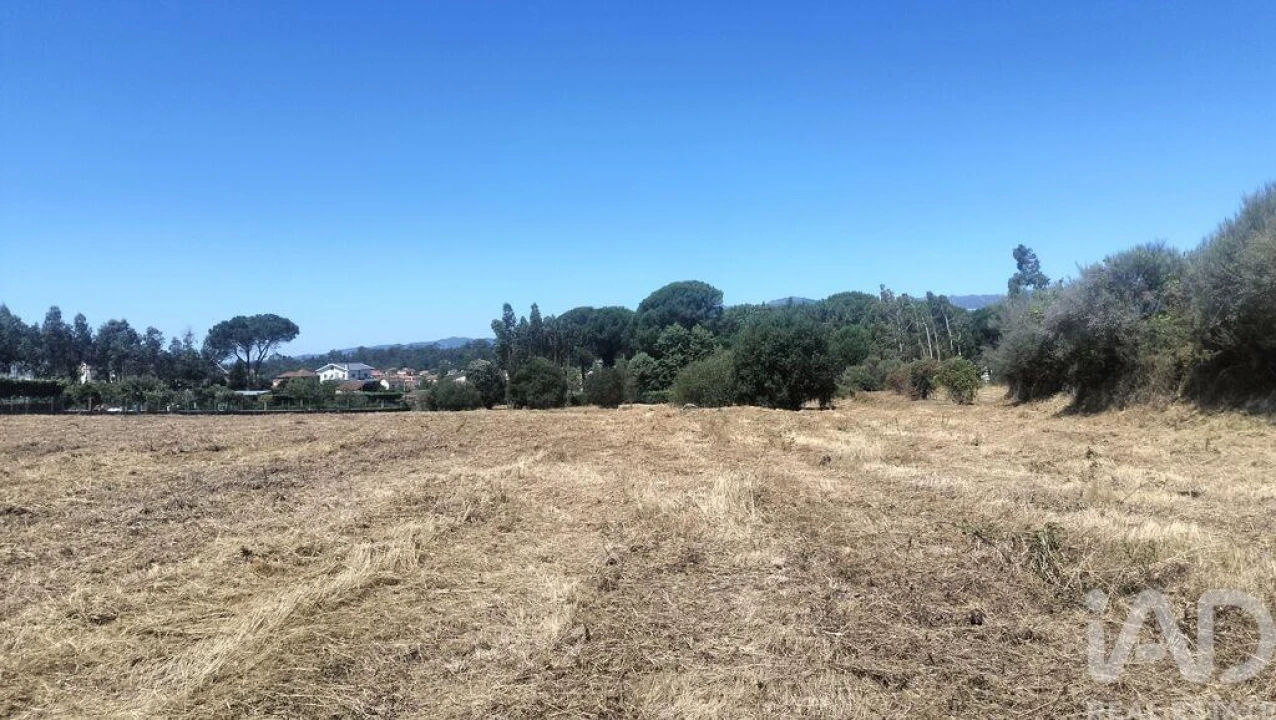 Terreno para Venda em Canas de Santa Maria Foto 16
