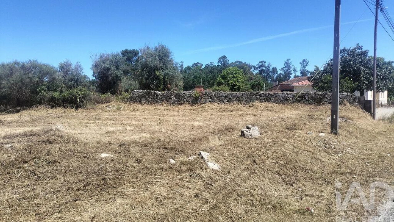 Terreno para Venda em Canas de Santa Maria Foto 11