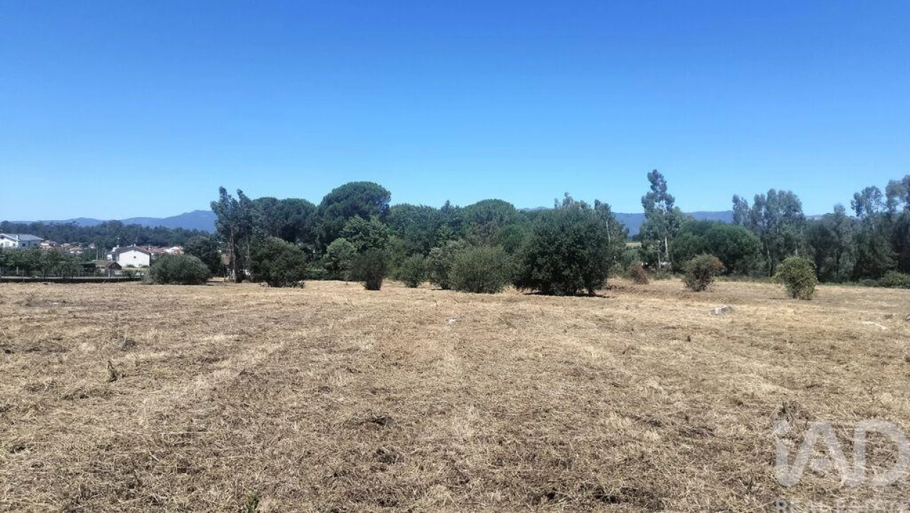 Terreno para Venda em Canas de Santa Maria Foto 5