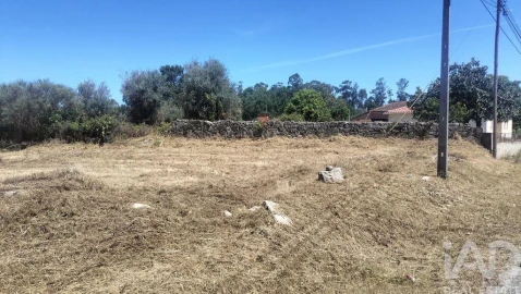 Terreno para Venda em Canas de Santa Maria