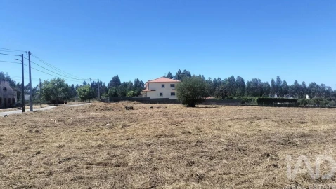 Terreno para Venda em Canas de Santa Maria
