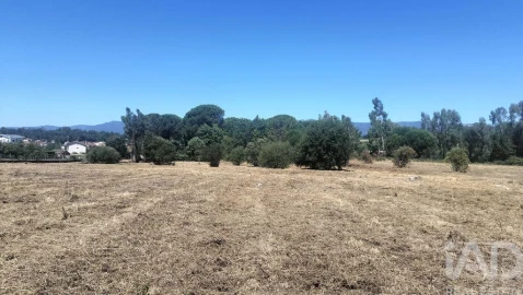 Terreno para Venda em Canas de Santa Maria