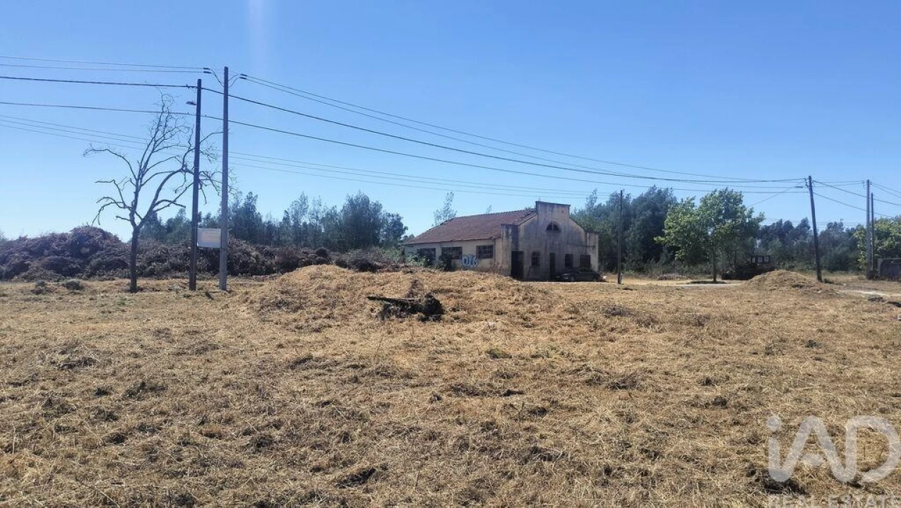 Terreno para Venda em Canas de Santa Maria Foto 38