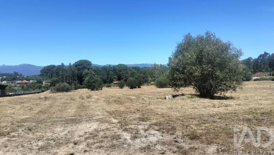 Terreno para Venda em Canas de Santa Maria Foto 35