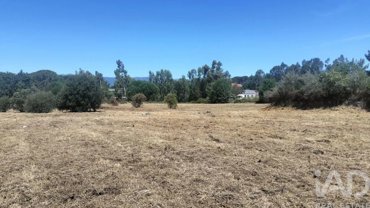 Terreno para Venda em Canas de Santa Maria Foto 37
