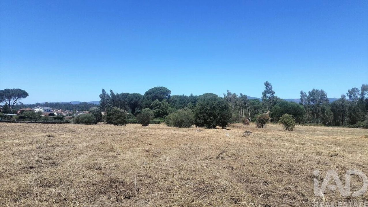 Terreno para Venda em Canas de Santa Maria Foto 23