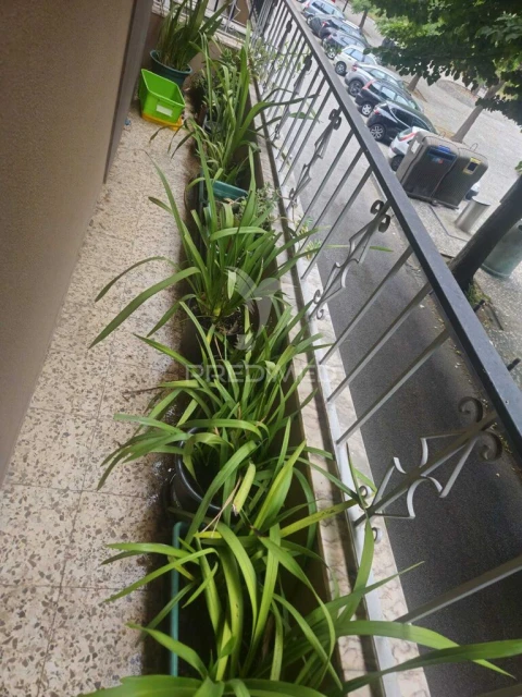 Apartamento T2 para Venda em São João Baptista