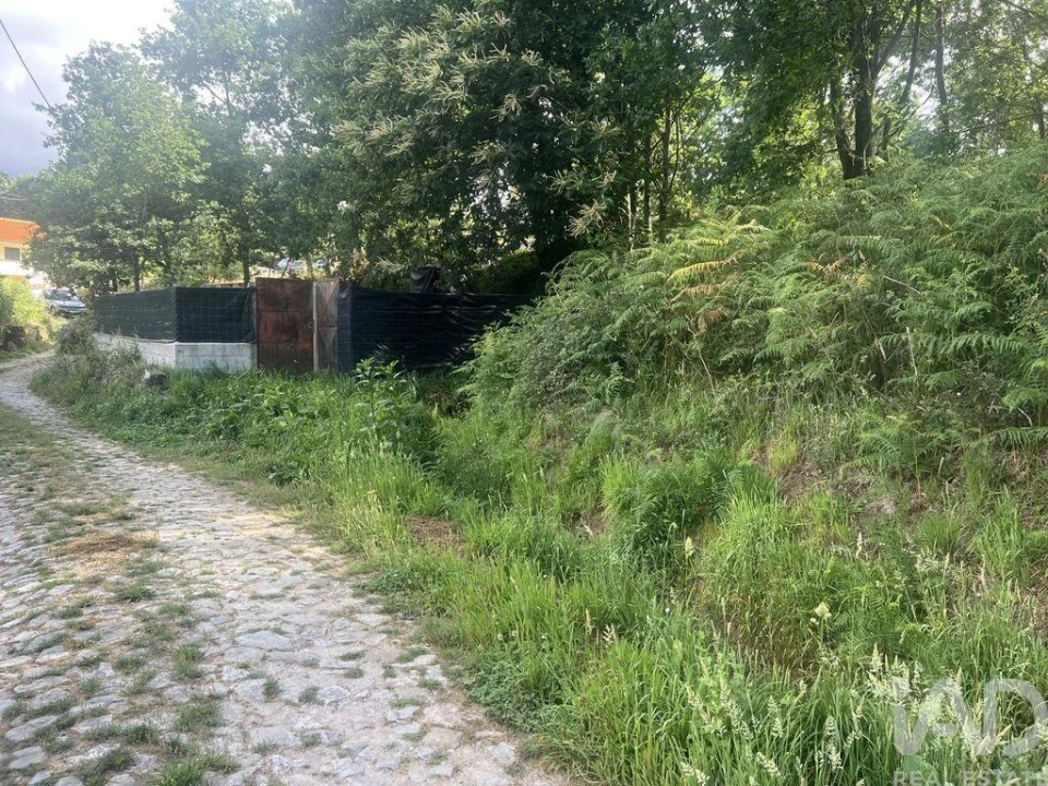 Terreno para Venda em Carvalhais e Candal Foto 2