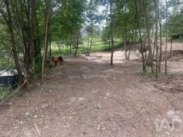 Terreno para Venda em Carvalhais e Candal