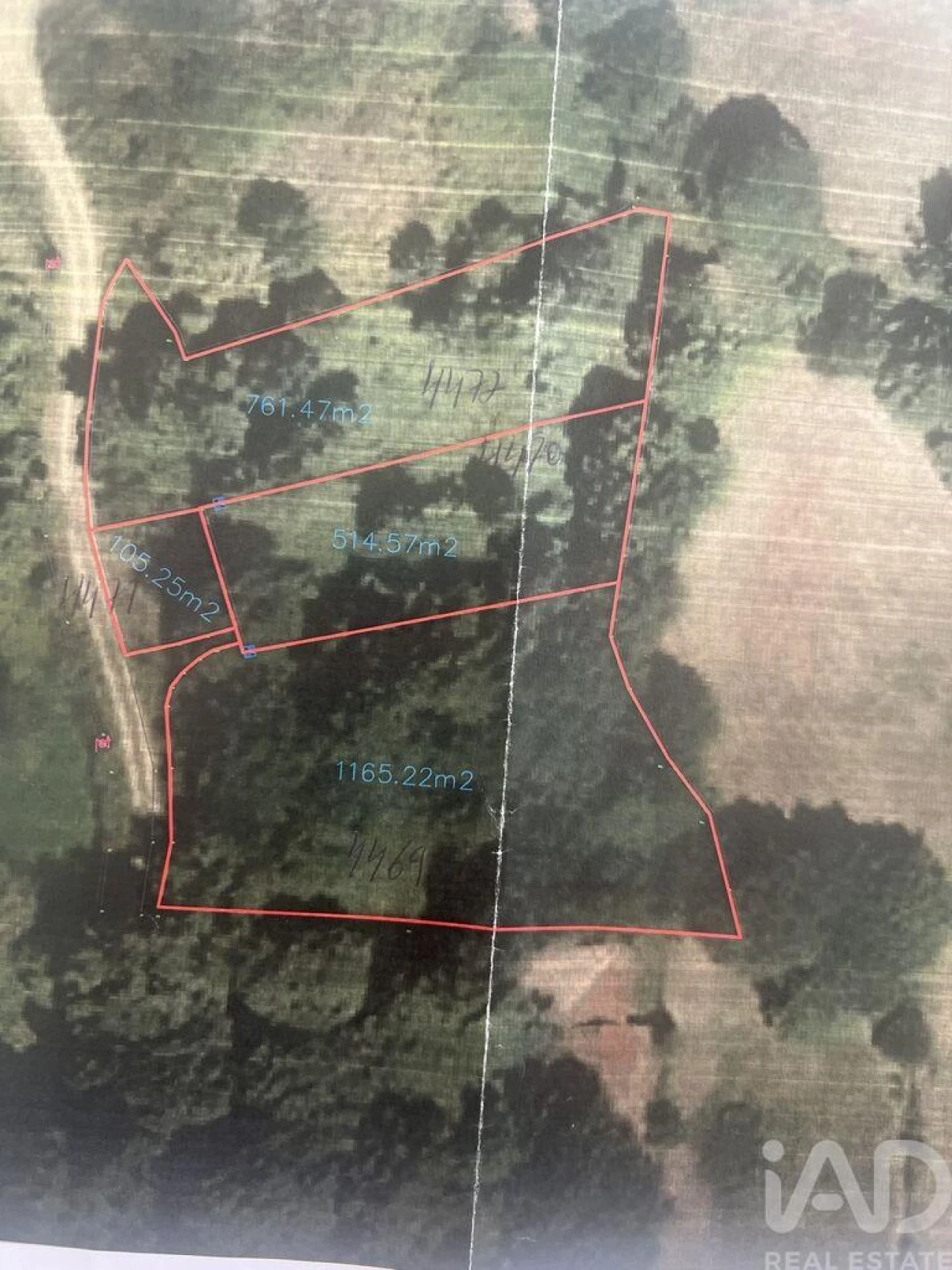 Terreno para Venda em Carvalhais e Candal Foto 6