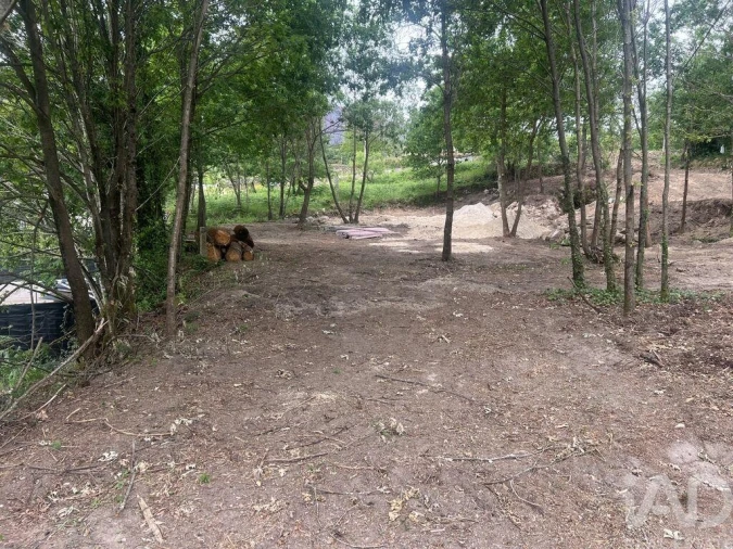 Terreno para Venda em Carvalhais e Candal Foto 5