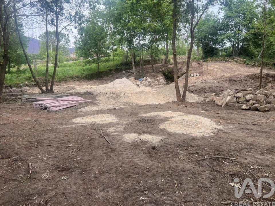 Terreno para Venda em Carvalhais e Candal Foto 3