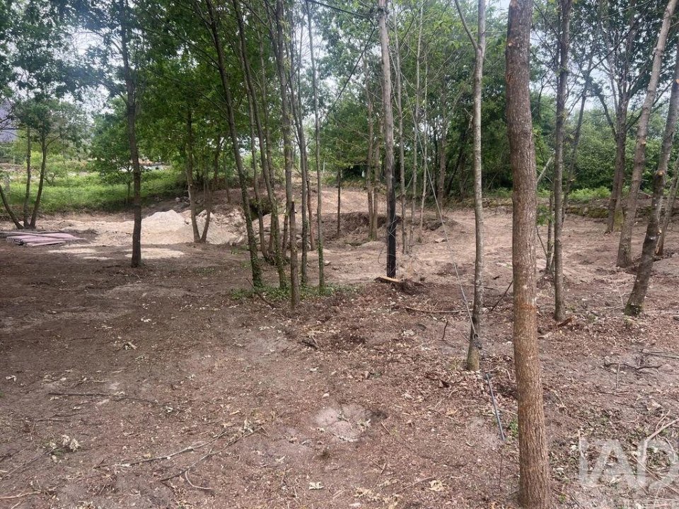 Terreno para Venda em Carvalhais e Candal Foto 4