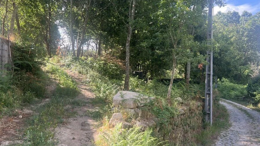 Terreno para Venda em Carvalhais e Candal