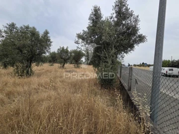 Terreno para Venda em Vila Nova da Barquinha