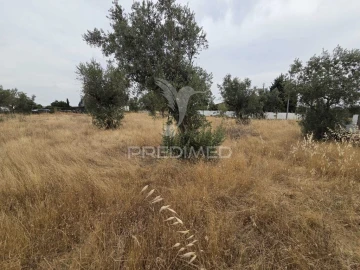 Terreno para Venda em Vila Nova da Barquinha