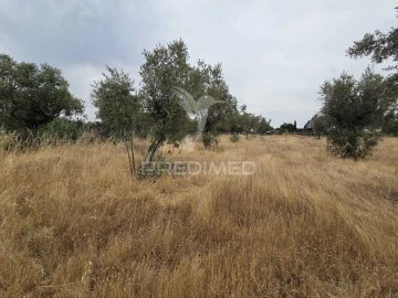 Terreno para Venda em Vila Nova da Barquinha