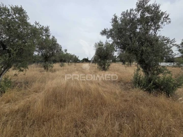 Terreno para Venda em Vila Nova da Barquinha